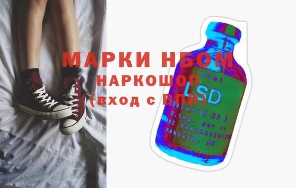 стафф Инта