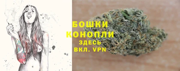 стафф Инта