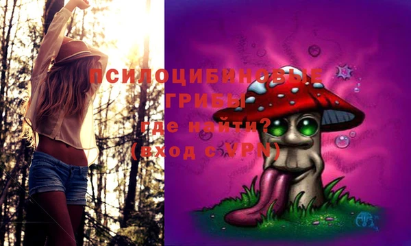 стафф Инта