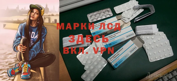 стафф Инта