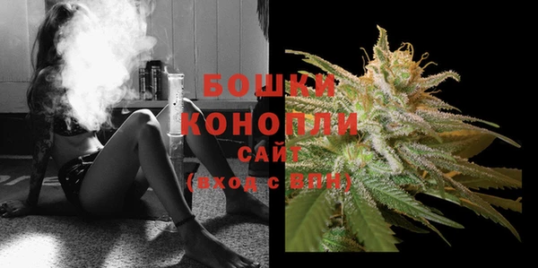 стафф Инта