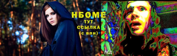 стафф Инта