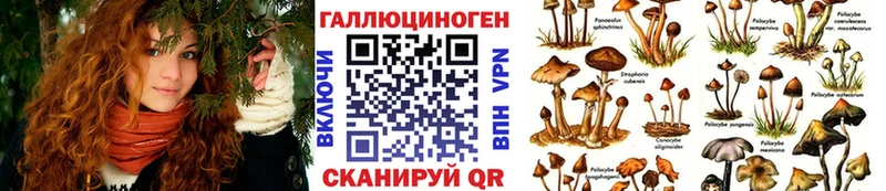 Купить закладки  Благодарный  Галлюциногенные грибы Cubensis 