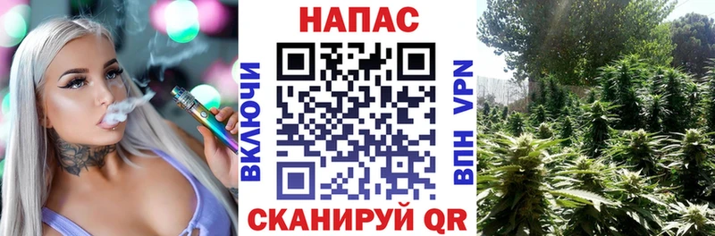 Купить  Благодарный  Марихуана SATIVA & INDICA 